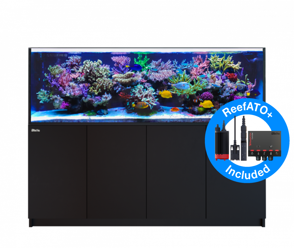 Red Sea Reefer 900 G2+ Deluxe Meerwasseraquarium Komplettset